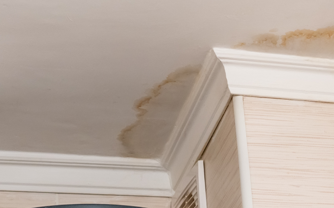 Can Water Damage Be Hidden?