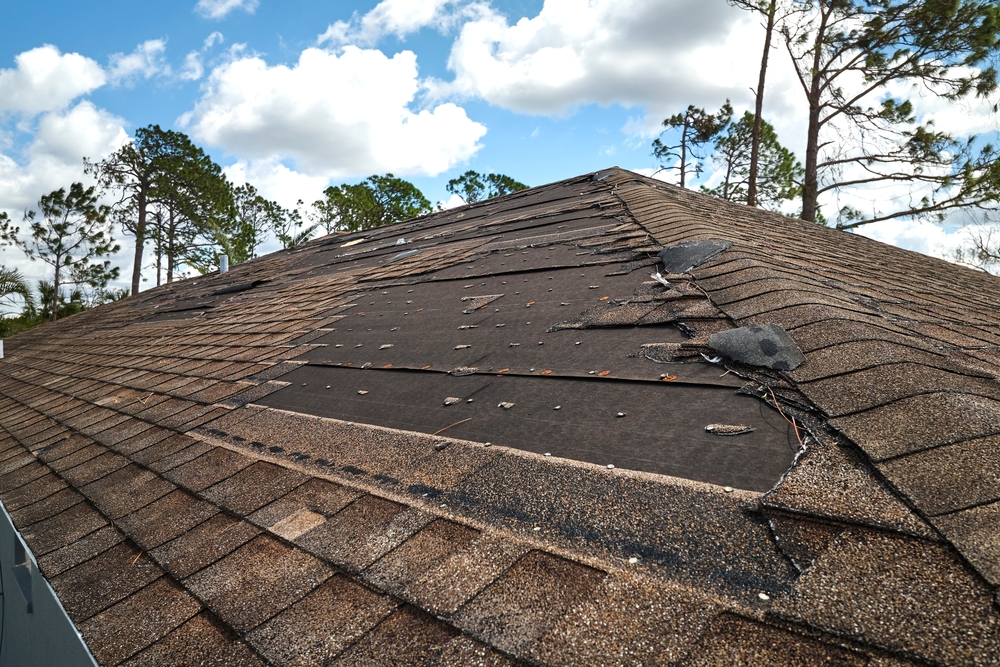9 Signs You Need a Roof Replacement [Infographic]