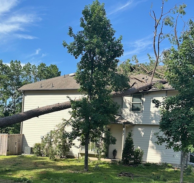 how-to-handle-the-hurricane-aftermath-on-your-property