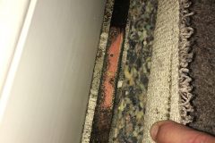 mold-removal06